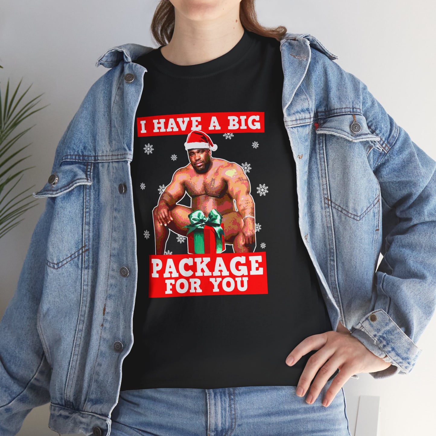 I HAVE A BIG PACKAGE FOR YOU SHIRT