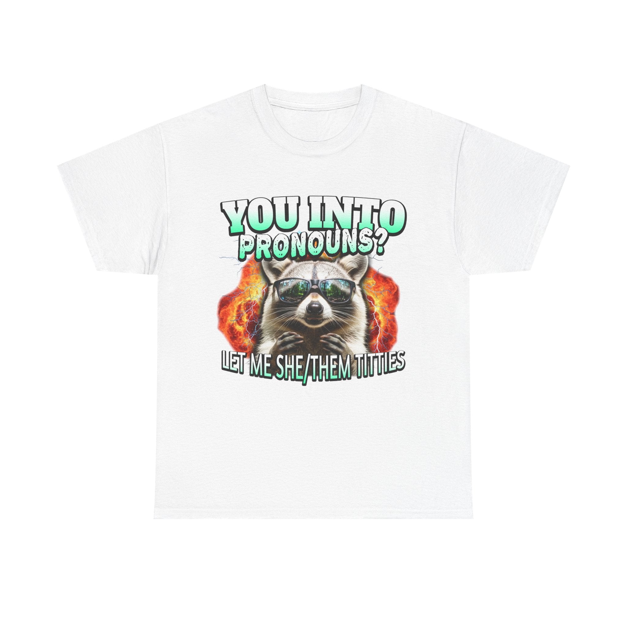 LET ME SHE/THEM TITTIES RACCOON PRONOUNS SHIRT