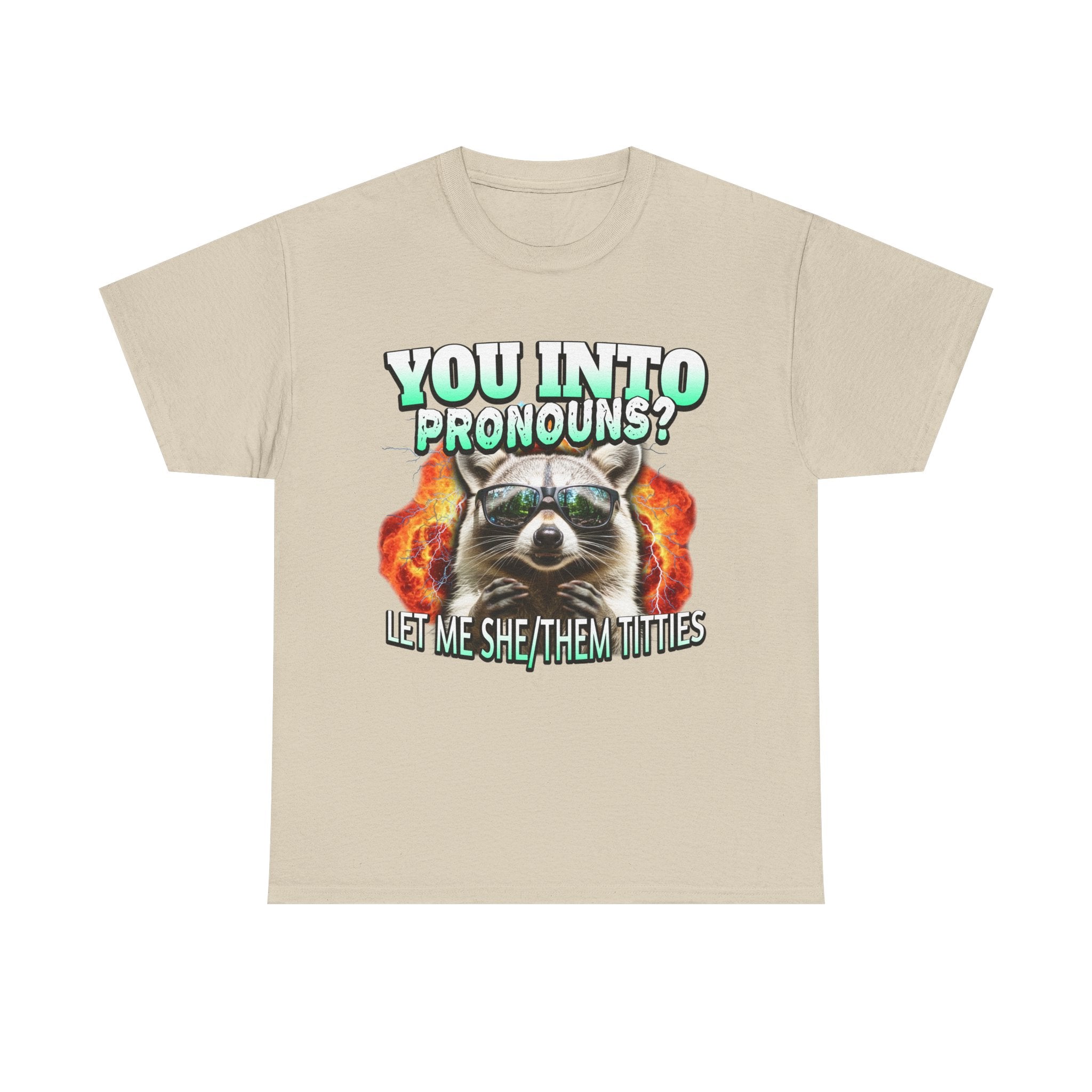 LET ME SHE/THEM TITTIES RACCOON PRONOUNS SHIRT