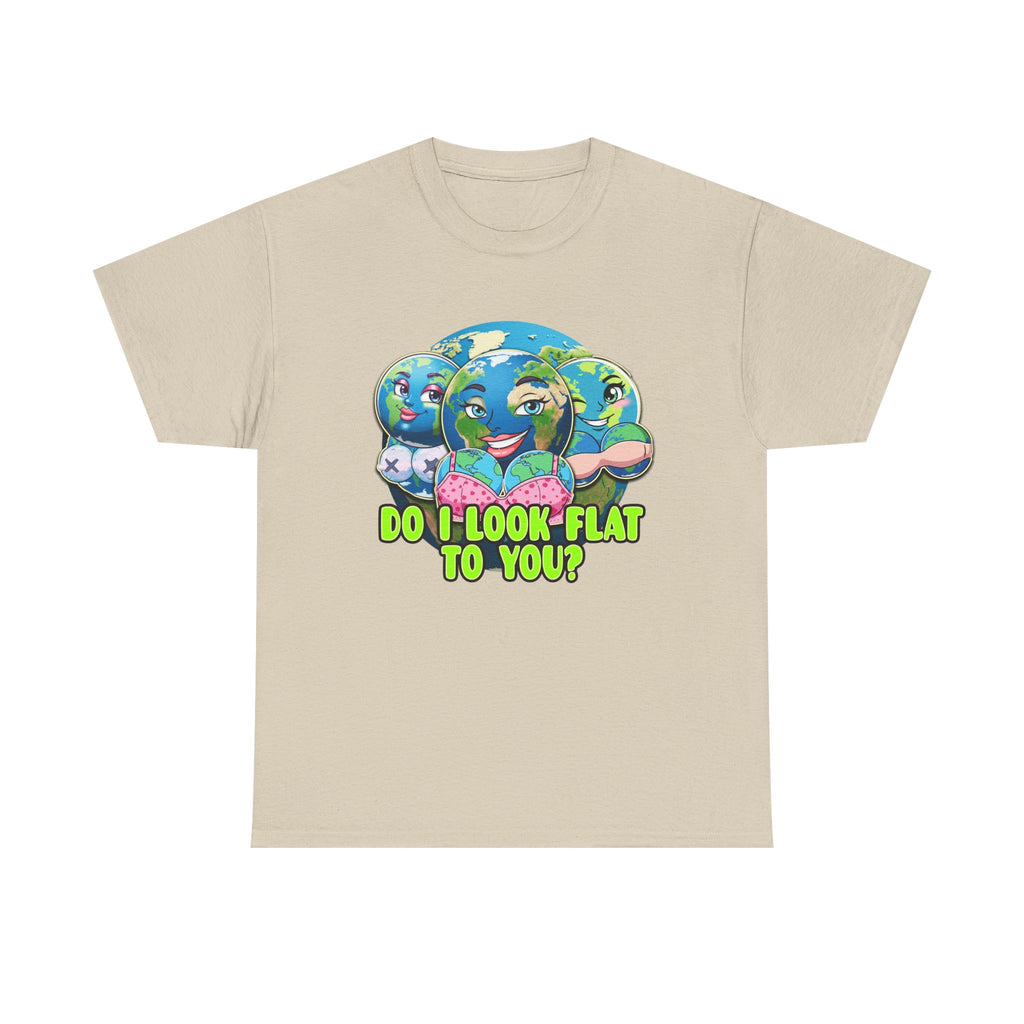 Do I Look Flat To You Earth Shirt