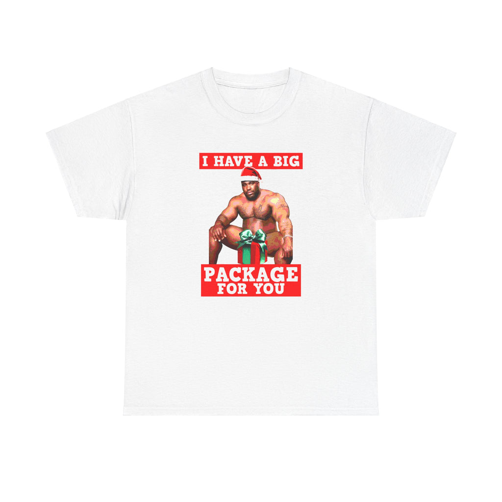 I Have A Big Package For You Shirt