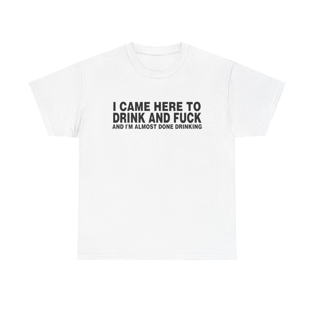 I Came Here To Drink And Fuck And I'M Almost Done Drinking Shirt
