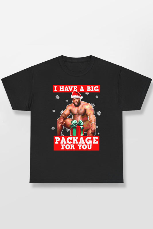 I HAVE A BIG PACKAGE FOR YOU SHIRT