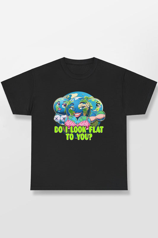 DO I LOOK FLAT TO YOU EARTH SHIRT