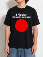 A PIE CHART WITH COUNTRIES THAT GOT NUKED SHIRT